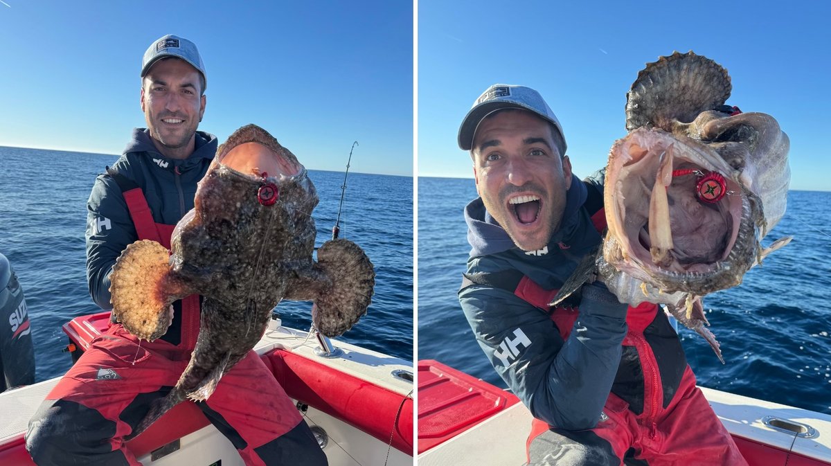 ModÃ¨le photo article S-Pulse - 3