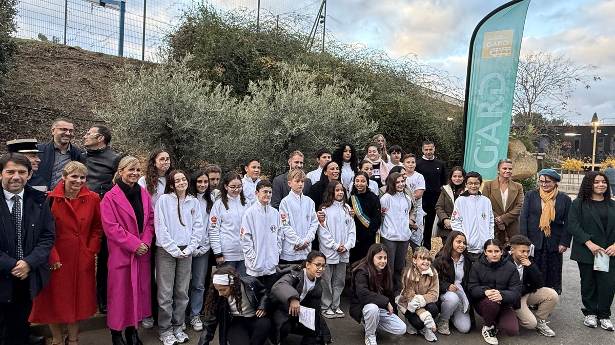 Arbre de la Laïcité Collège Ada Lovelace