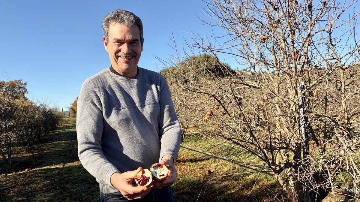 Jacques Beraud grenades