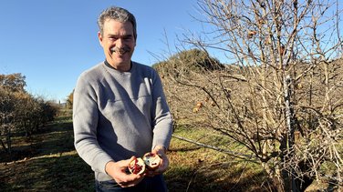 Jacques Beraud grenades