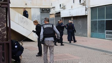 police chien sécurité au quotidien