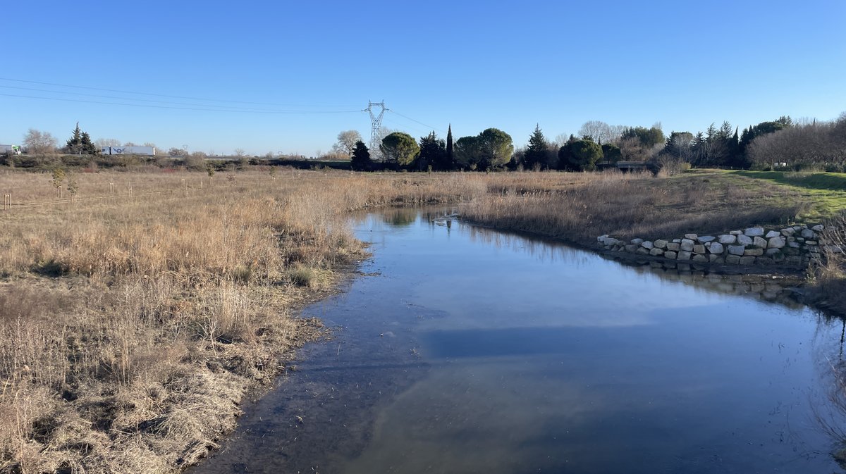Extension de la ligne T4 du TCSP jusqu'à Caissargues (Photo Anthony Maurin)