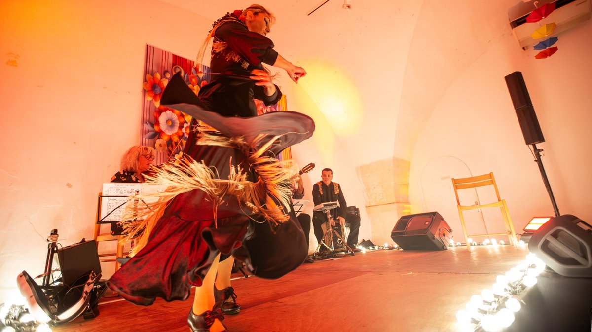 paloma octopus et tablao mellado col y toros (yp)