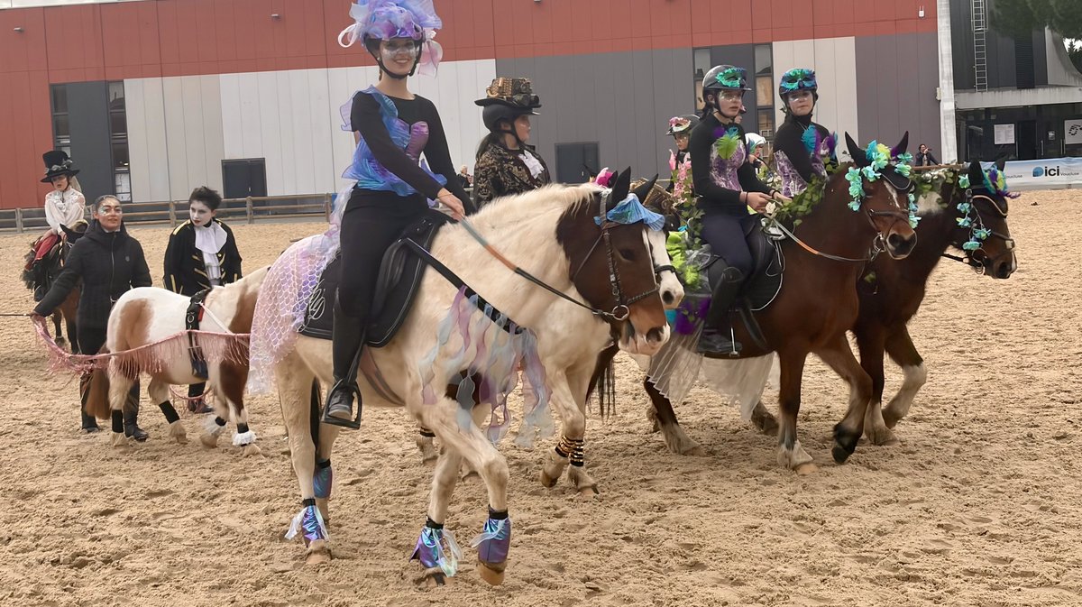 Cheval Passion Avignon