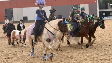 Cheval Passion Avignon