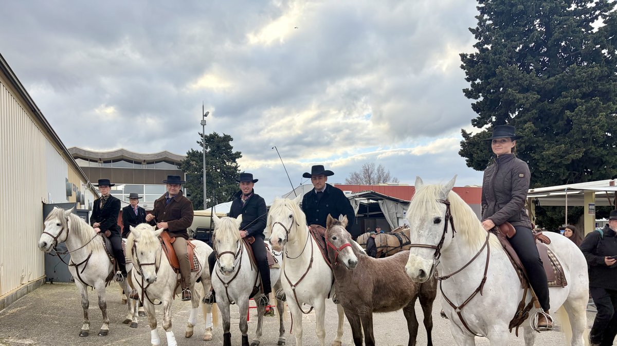 Cheval Passion 40 édition