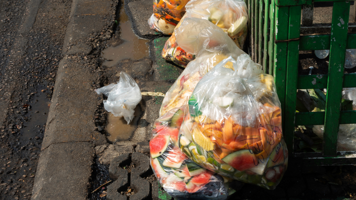 LUNEL La ville lance la « Chasse au Gaspi » dans ses restaurants scolaires
