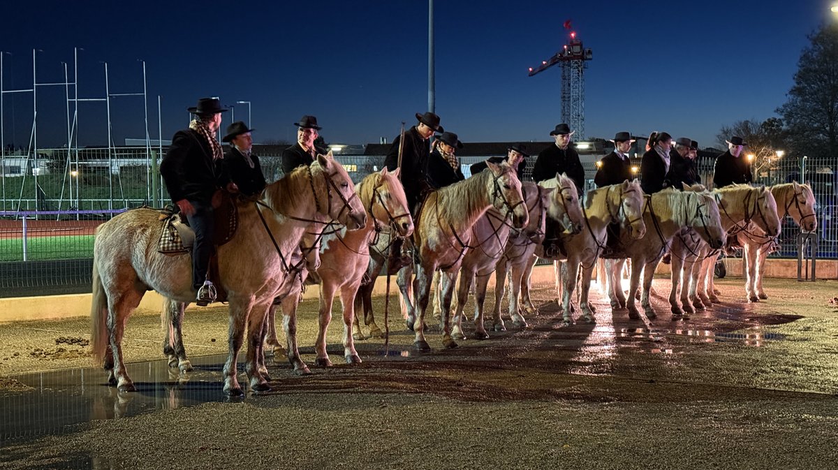 Lunel manadiers éleveurs