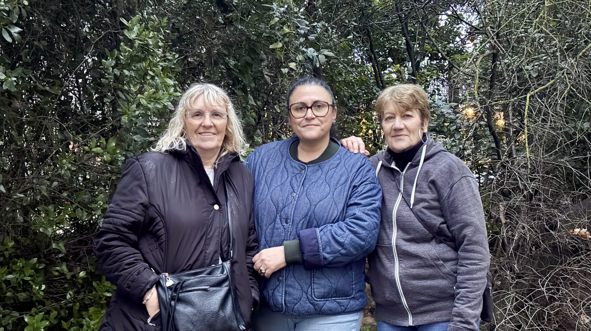 chats errants Bagnols/Cèze