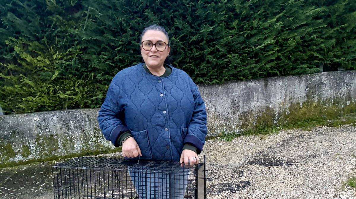 chats errants Bagnols/Cèze