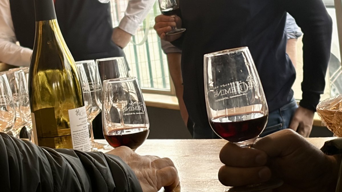 journée oenologie cave des 4 chemins