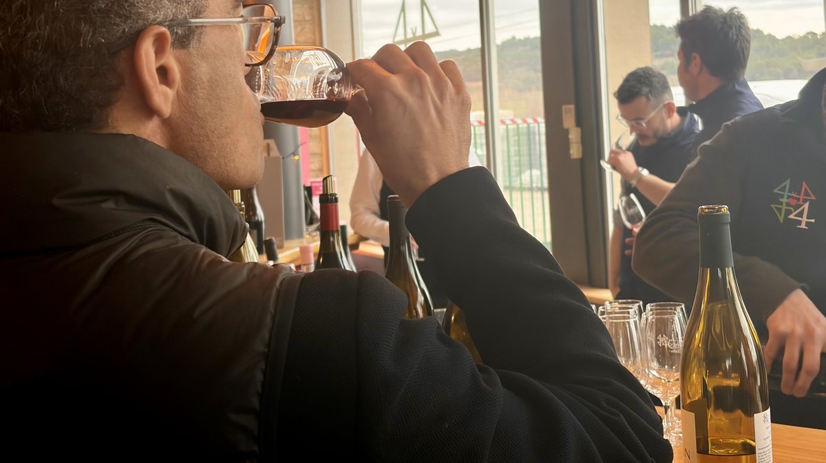 journée oenologie cave des 4 chemins