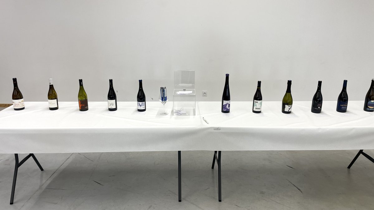 Concours des vins de Nîmes et du Gard 2026 organisé par les Jeunes agriculteurs gardois (Photo Anthony Maurin)