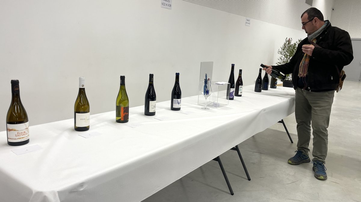 Concours des vins de Nîmes et du Gard 2026 organisé par les Jeunes agriculteurs gardois (Photo Anthony Maurin)