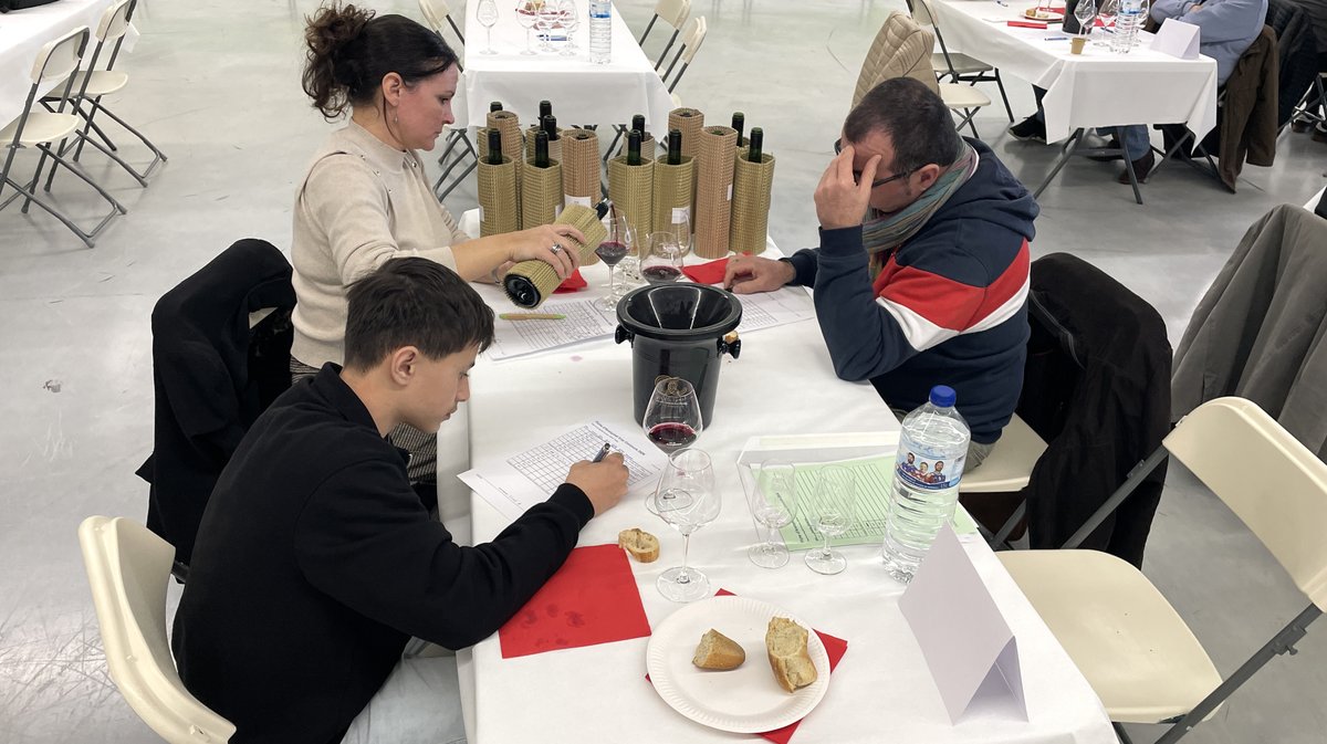Concours des vins de Nîmes et du Gard 2026 organisé par les Jeunes agriculteurs gardois (Photo Anthony Maurin)