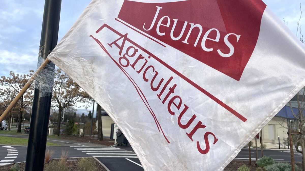 Concours des vins de Nîmes et du Gard 2026 organisé par les Jeunes agriculteurs gardois (Photo Anthony Maurin)