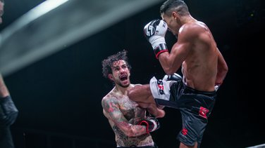 BFS6 Krafi Oliva Parnasse