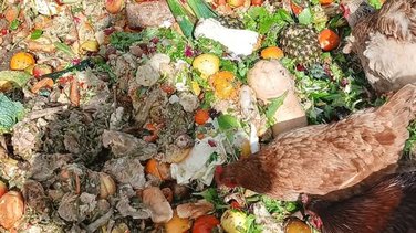 Camion benne Le Garn