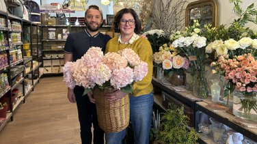 Eole Design Vert'ige