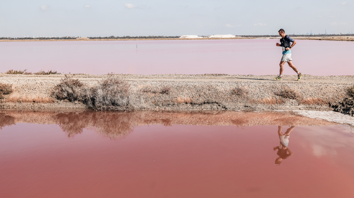 La Baleine en Course