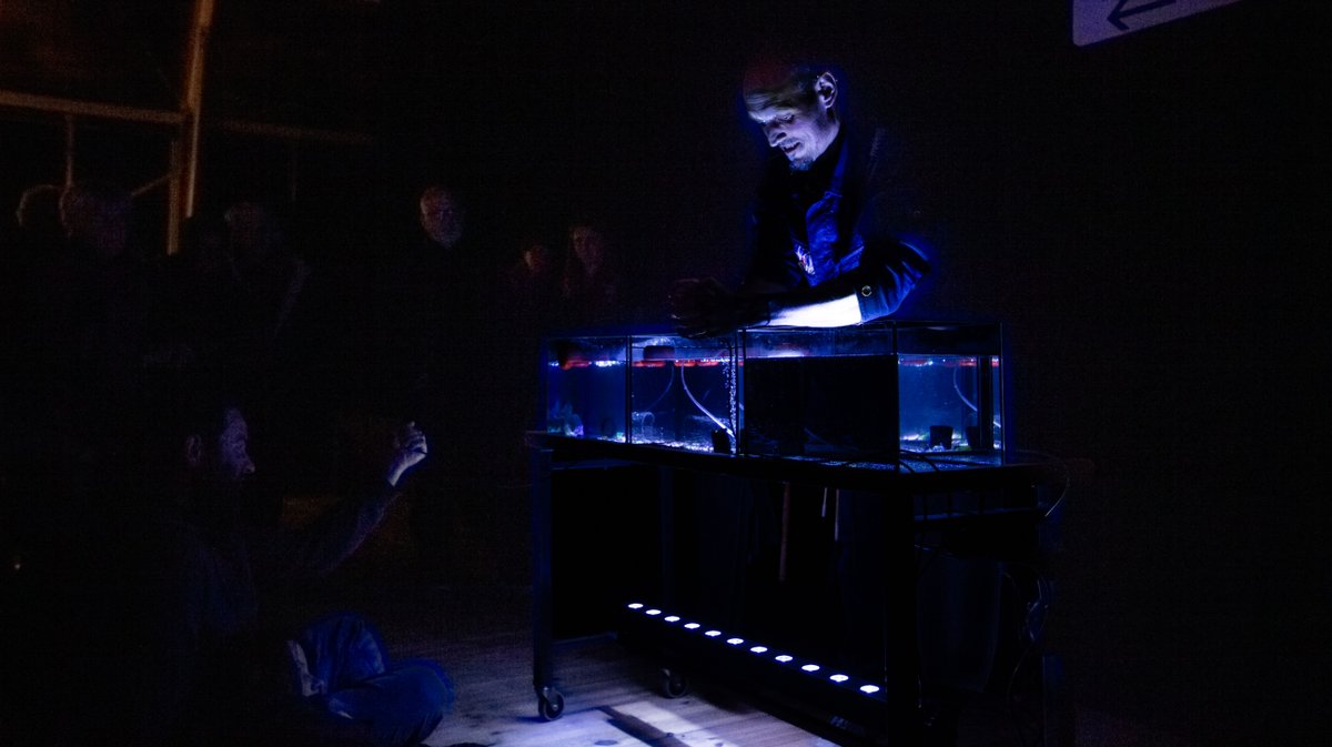 eddi van stui cratere