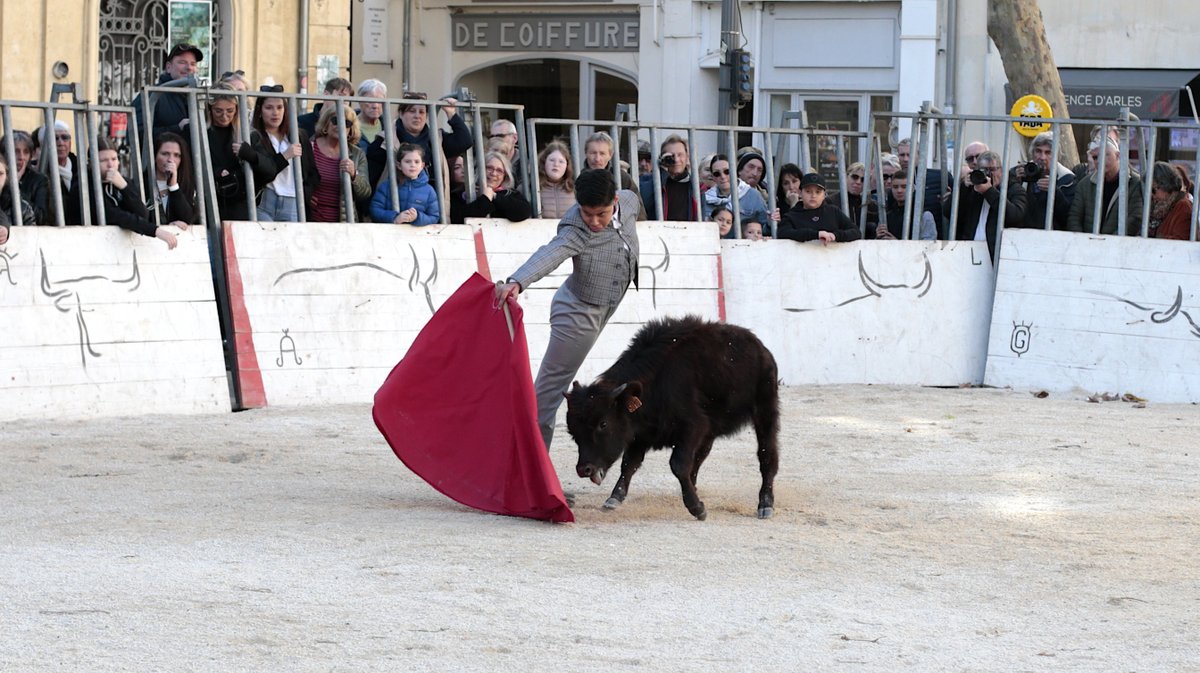 La capea du forum 2026 à Arles (Photo Anthony Maurin)