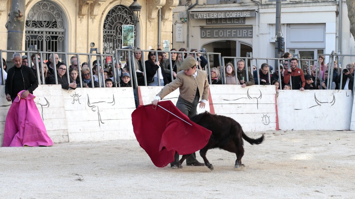 La capea du forum 2026 à Arles (Photo Anthony Maurin)