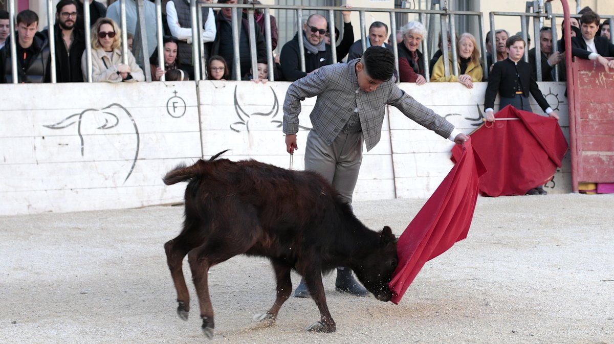 Capea du forum Arles 2026 (Photo Anthony Maurin)