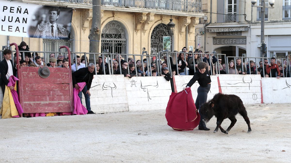 La capea du forum 2026 à Arles (Photo Anthony Maurin)