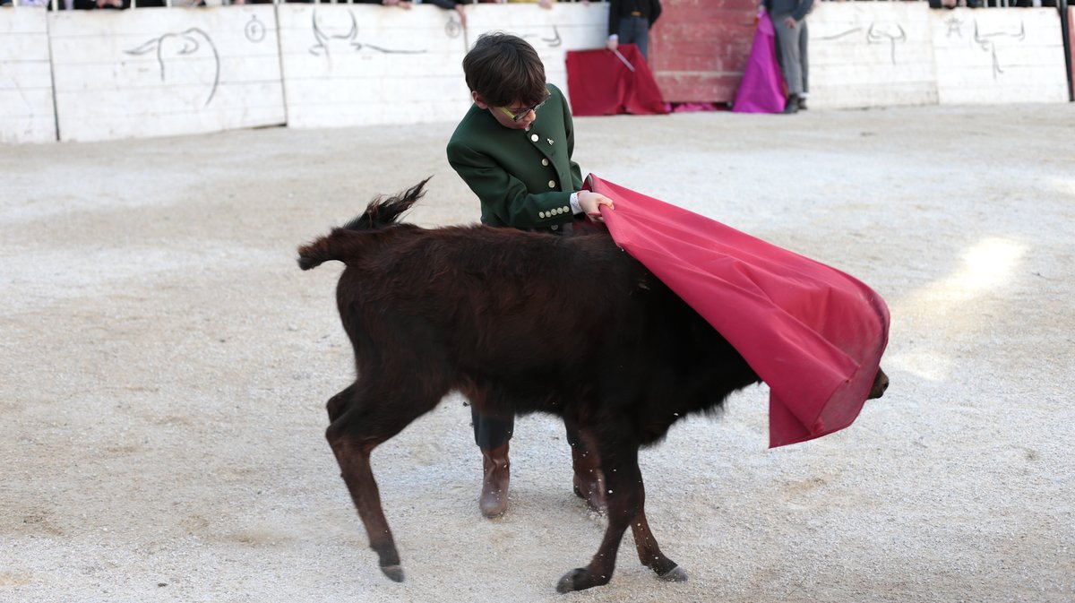 La capea du forum 2026 à Arles (Photo Anthony Maurin)