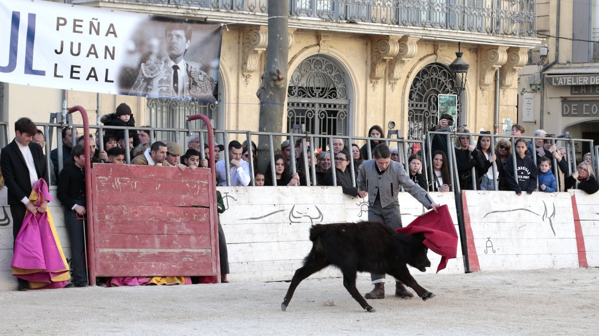 La capea du forum 2026 à Arles (Photo Anthony Maurin)