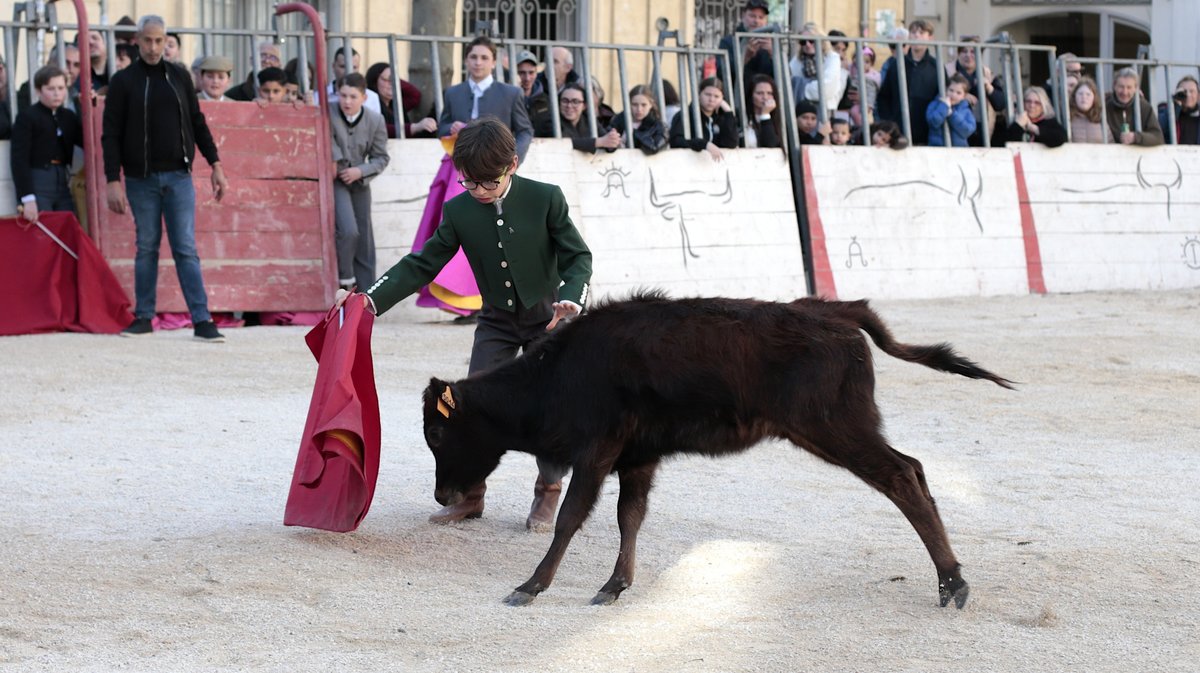 La capea du forum 2026 à Arles (Photo Anthony Maurin)