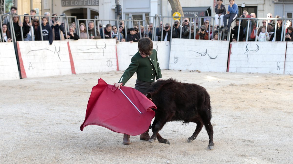 La capea du forum 2026 à Arles (Photo Anthony Maurin)