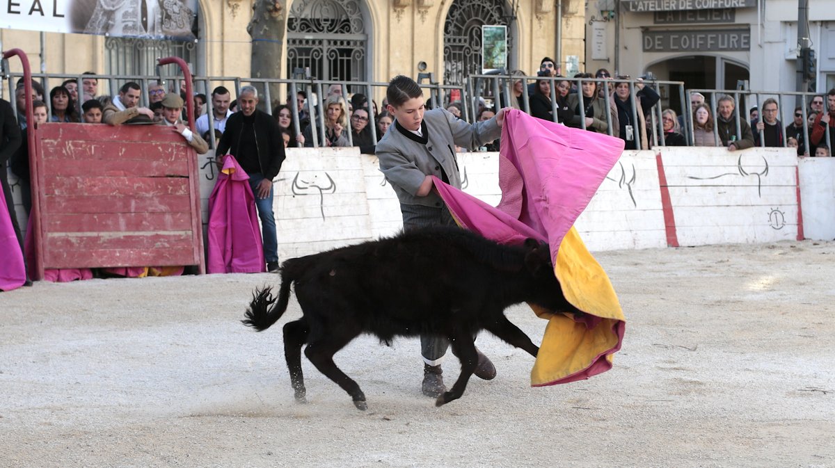 La capea du forum 2026 à Arles (Photo Anthony Maurin)