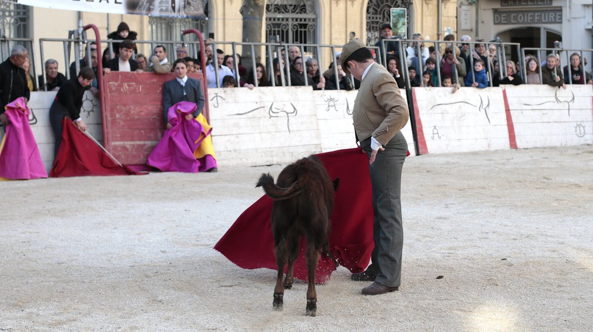 La capea du forum 2026 à Arles (Photo Anthony Maurin)