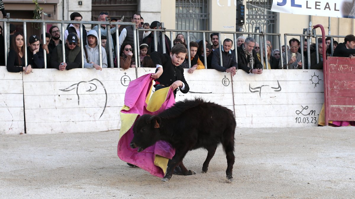 La capea du forum 2026 à Arles (Photo Anthony Maurin)