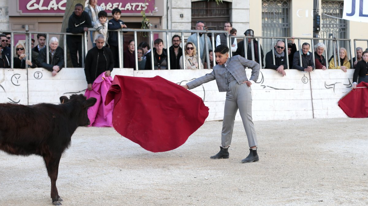 La capea du forum 2026 à Arles (Photo Anthony Maurin)