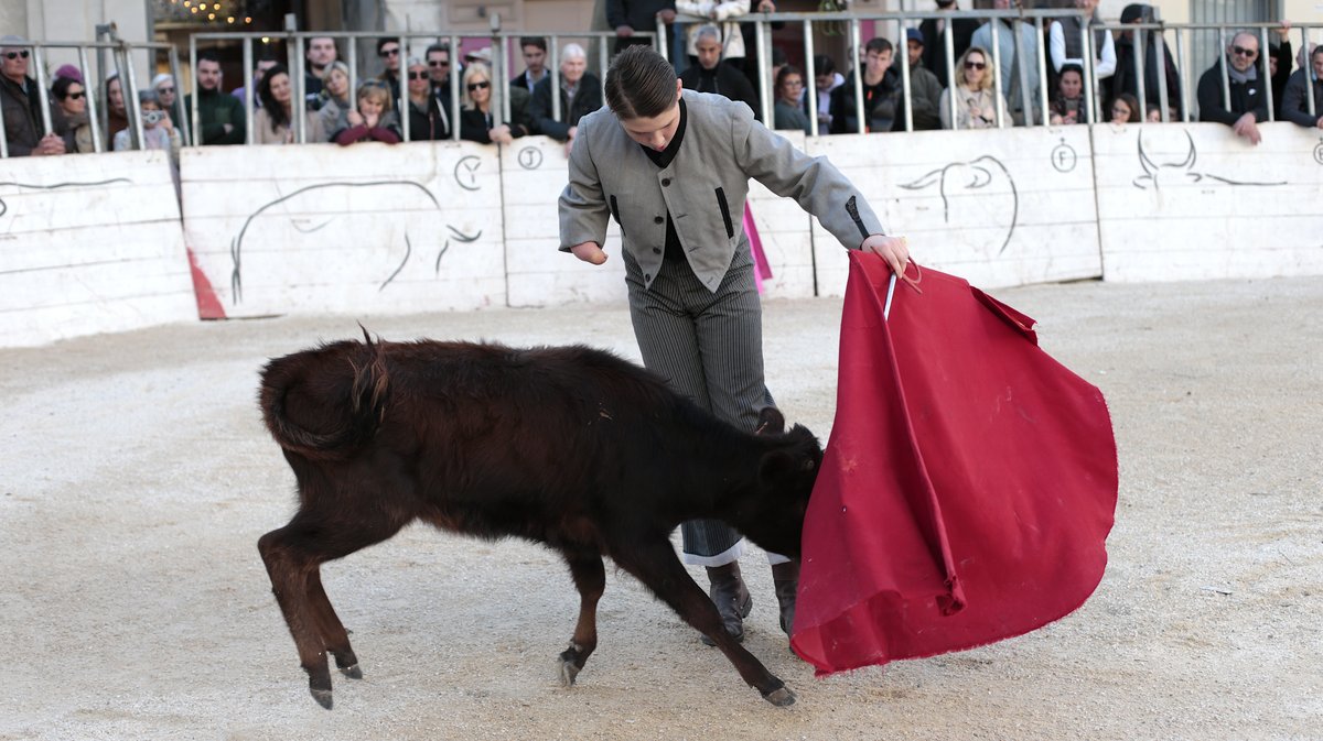 La capea du forum 2026 à Arles (Photo Anthony Maurin)