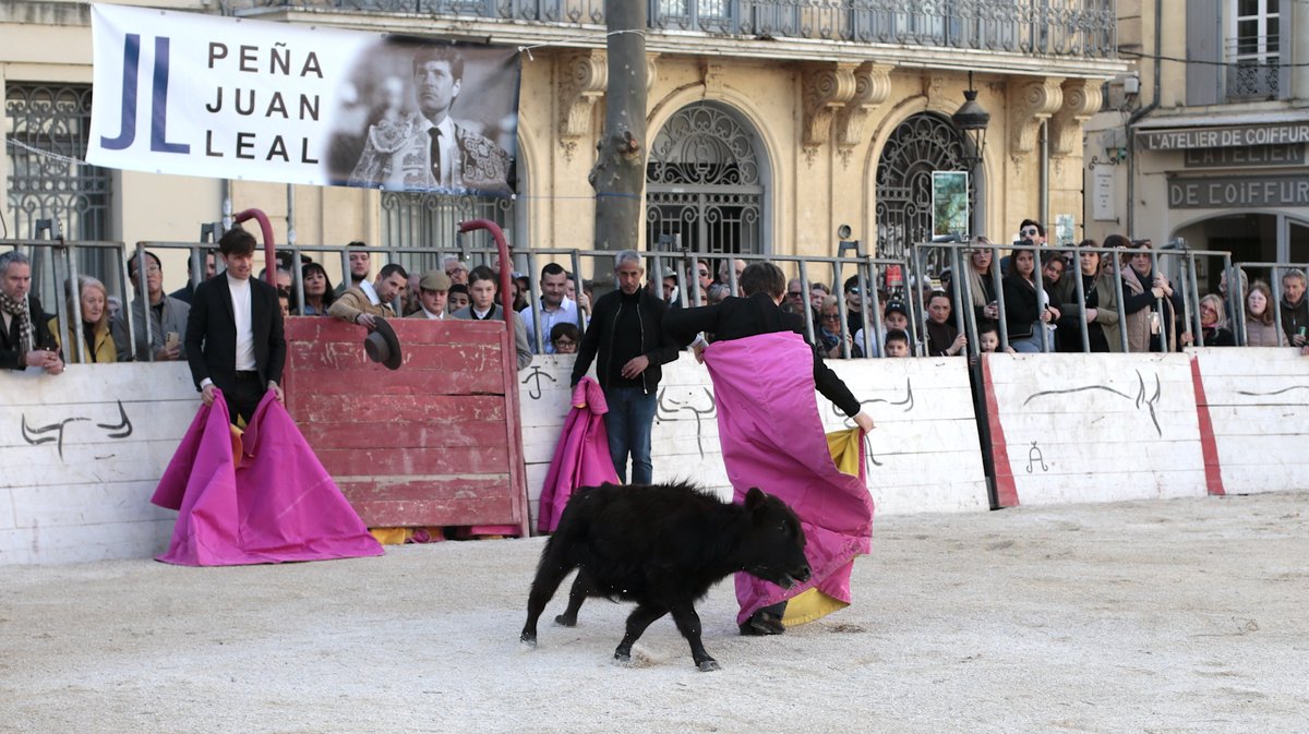 La capea du forum 2026 à Arles (Photo Anthony Maurin)