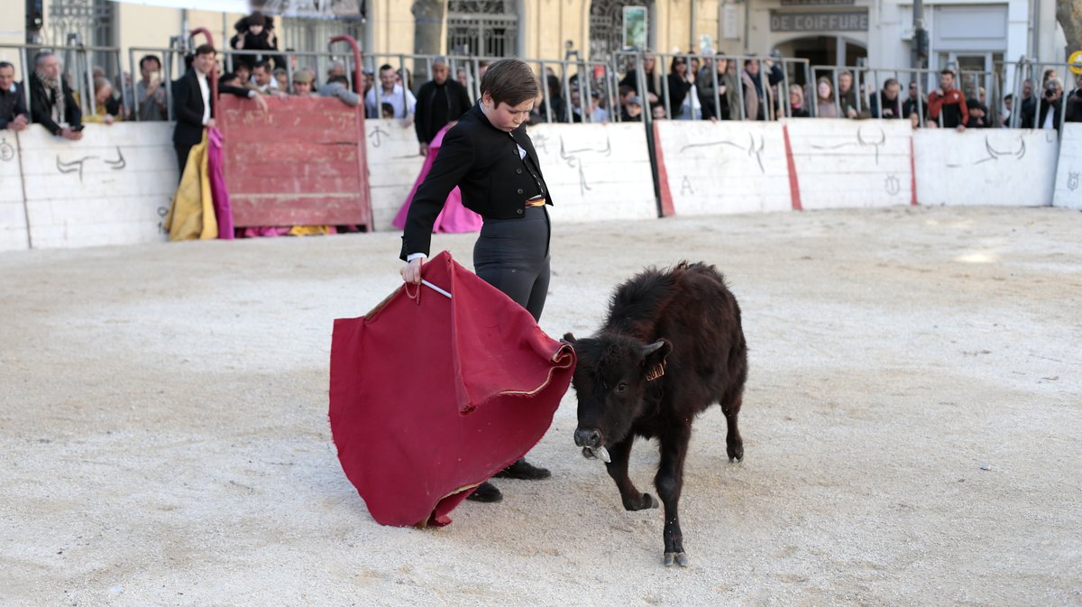 La capea du forum 2026 à Arles (Photo Anthony Maurin)