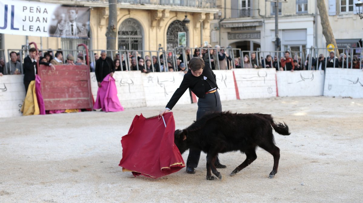 La capea du forum 2026 à Arles (Photo Anthony Maurin)