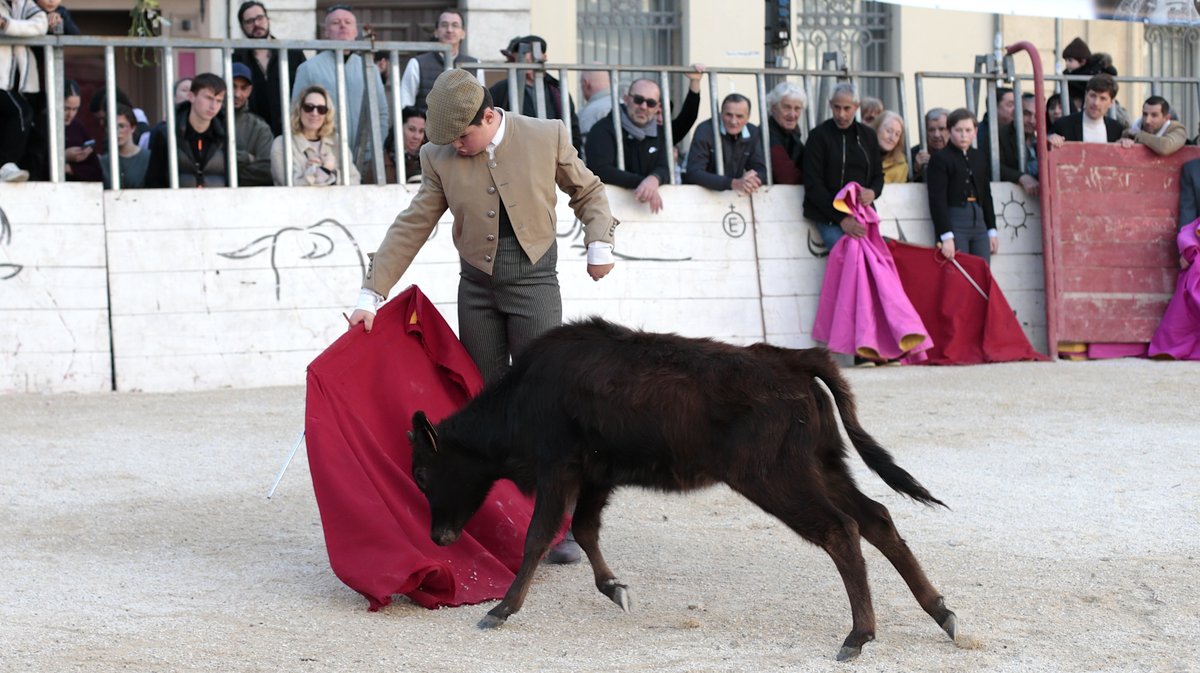 La capea du forum 2026 à Arles (Photo Anthony Maurin)