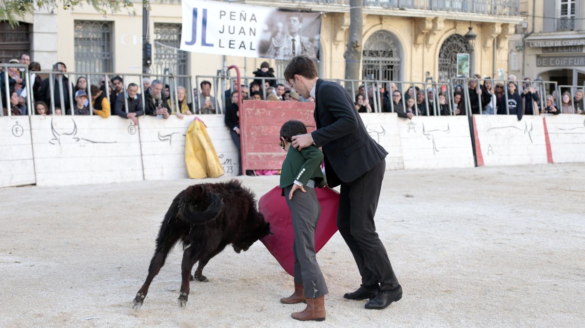 La capea du forum 2026 à Arles (Photo Anthony Maurin)