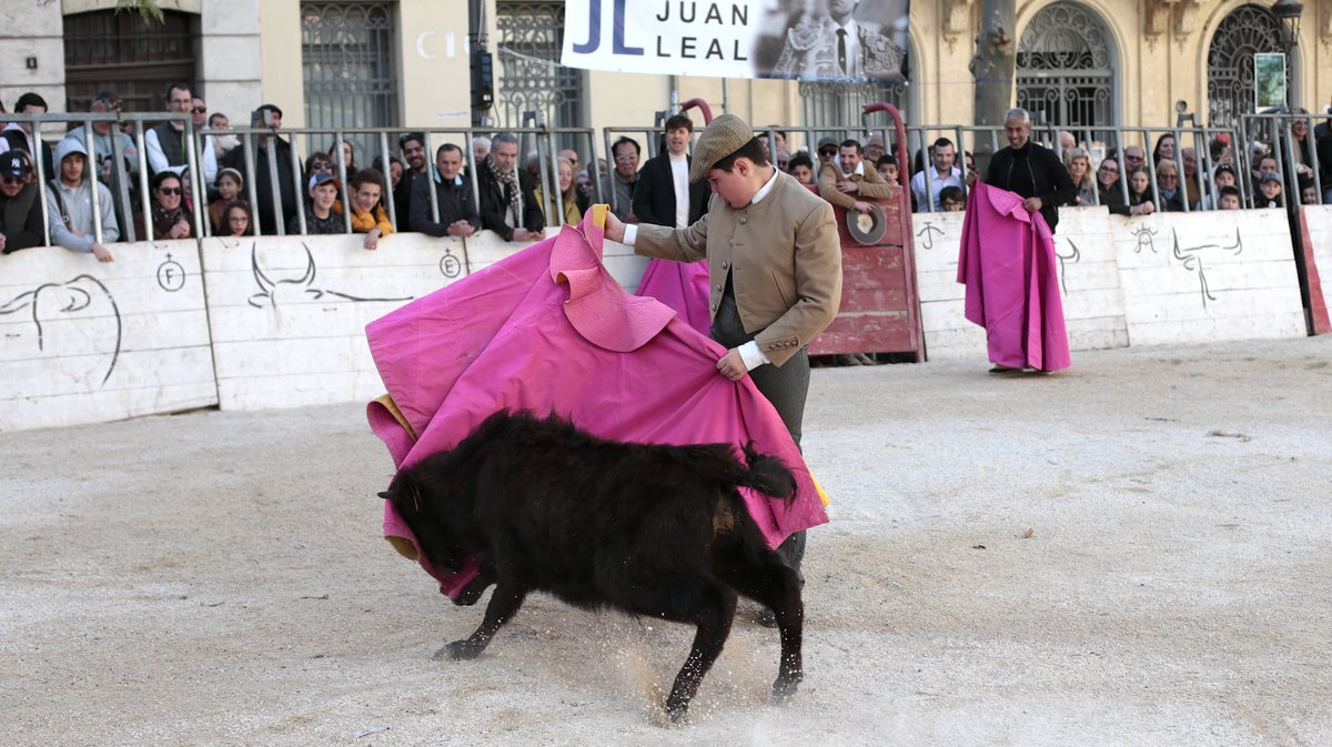 La capea du forum 2026 à Arles (Photo Anthony Maurin)