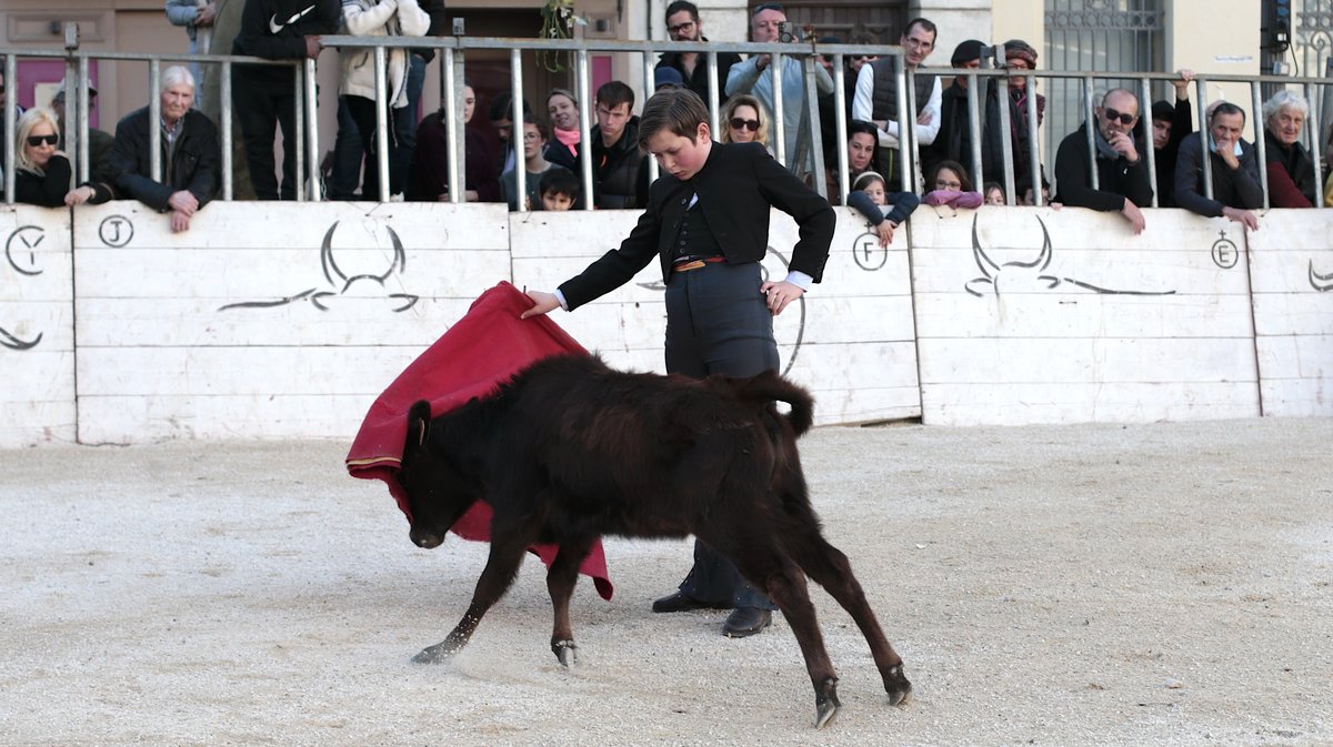 La capea du forum 2026 à Arles (Photo Anthony Maurin)