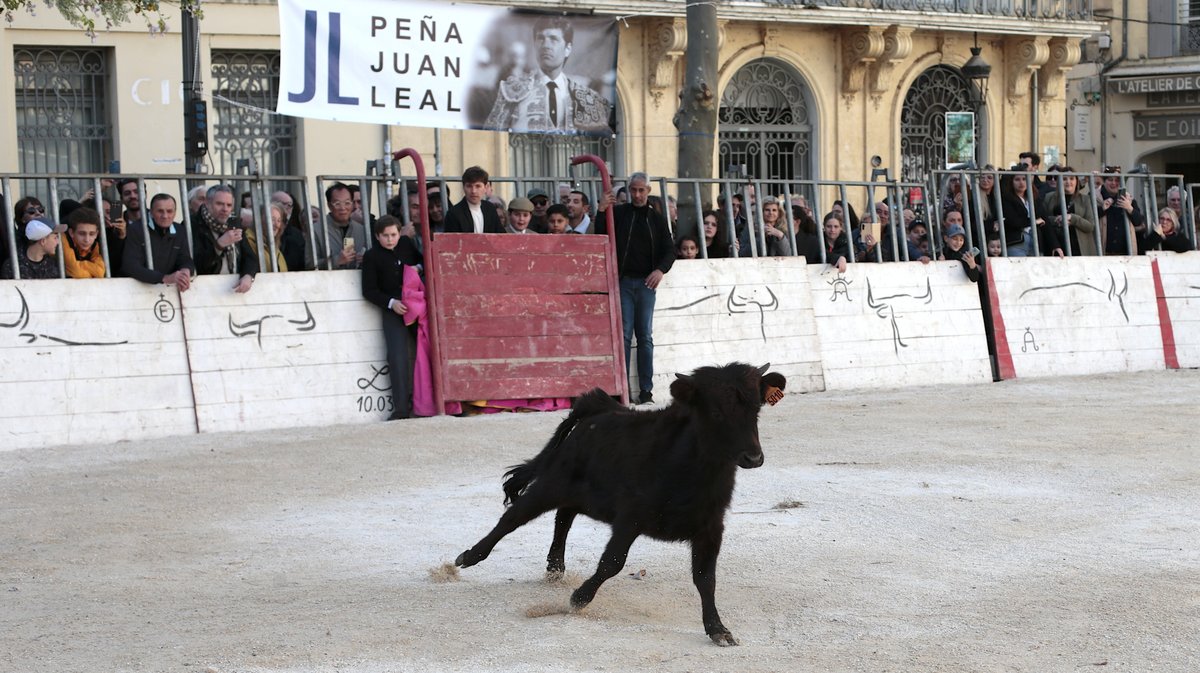 La capea du forum 2026 à Arles (Photo Anthony Maurin)