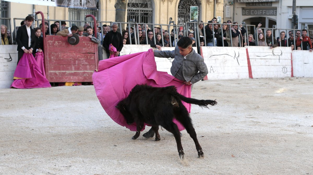 La capea du forum 2026 à Arles (Photo Anthony Maurin)