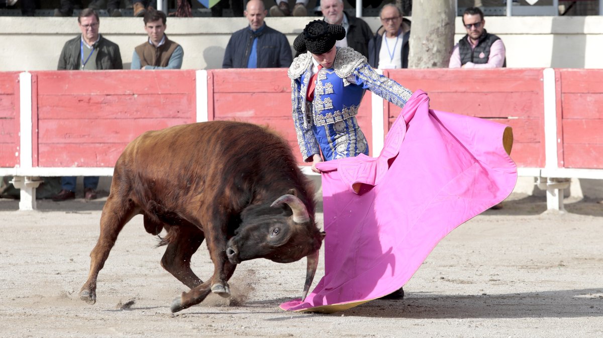 novillada sans picadors de La Suerte, Colombeau, Pagès-Mailhan et Barcelo pour Javier Torres "Bombita" et Matias à Fourques 2026 (Photo Anthony Maurin)