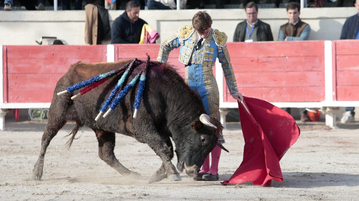 novillada sans picadors de La Suerte, Colombeau, Pagès-Mailhan et Barcelo pour Javier Torres "Bombita" et Matias à Fourques 2026 (Photo Anthony Maurin)