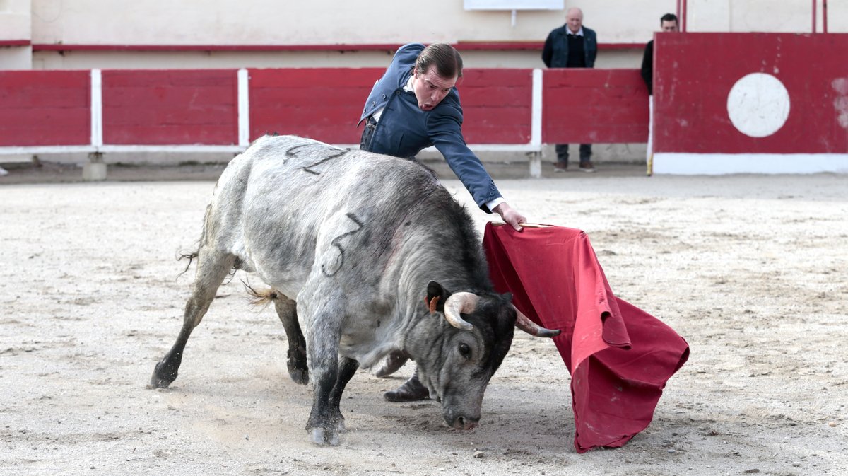 Tienta de Javier Cortés Fourques 2026 (Photo Anthony Maurin)_K9Q6134